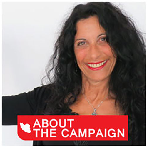 About-the-Campaign